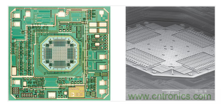  ADXL202 &plusmn;2 g加速度計。