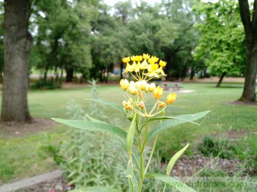 無數的拍攝，只為成就一個完美回憶